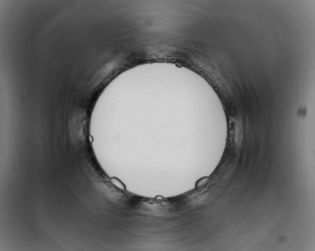 X0000100340712200807031258