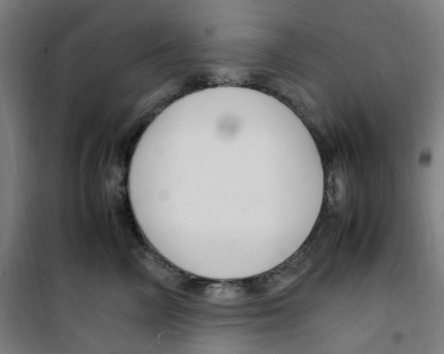 X0000100340714200807031258