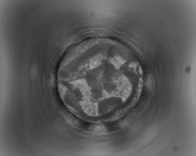 X0000100340715200807031258