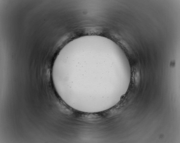 X0000100340716200807031258