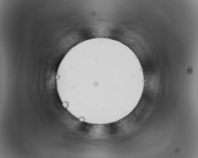 X0000100340717200807031258