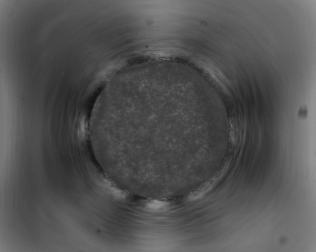 X0000100340718200807031258