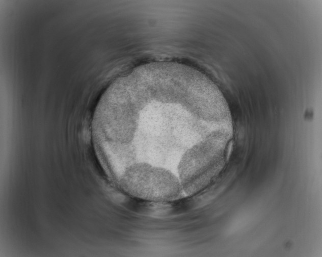 X0000100340719200807031258