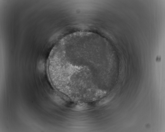 X0000100340720200807031258