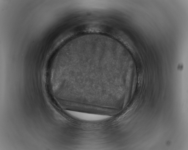 X0000100340722200807031257