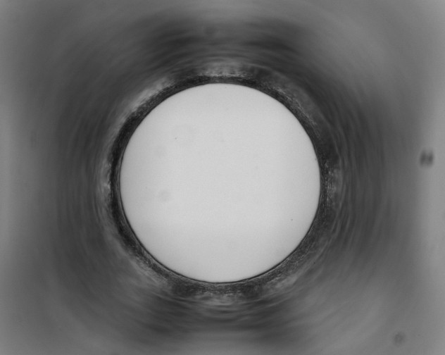 X0000100340727200807031258