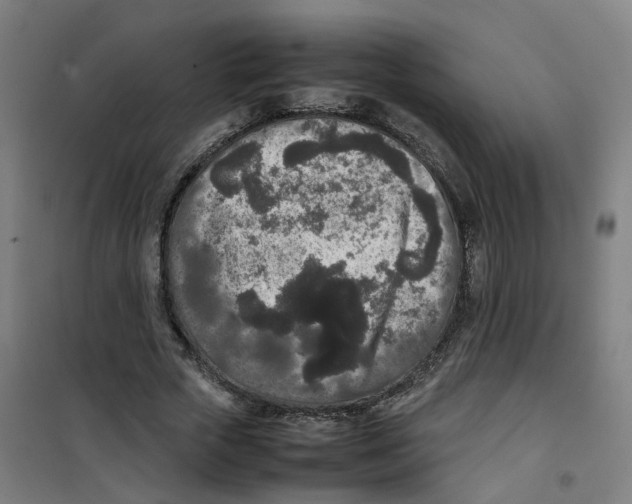 X0000100340729200807031258