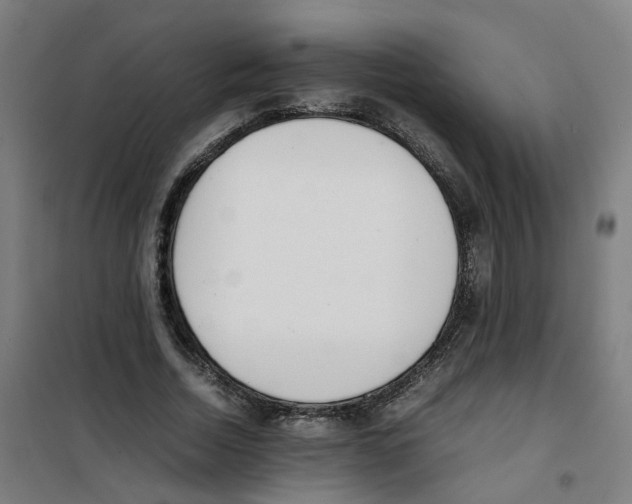 X0000100340730200807031258