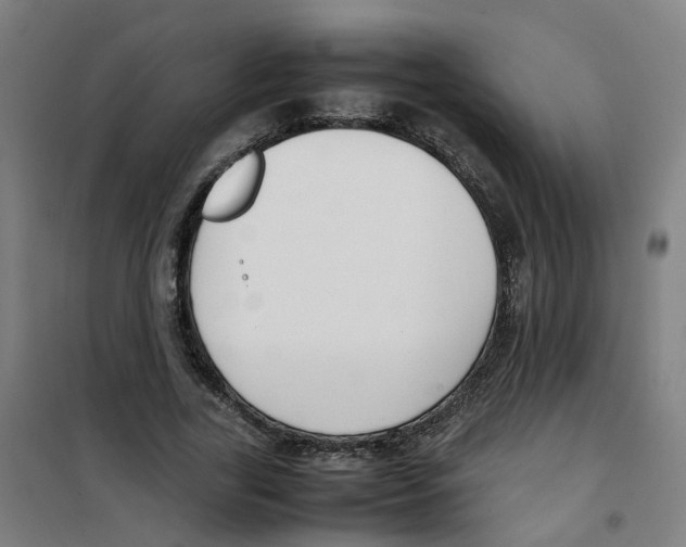 X0000100340731200807031258