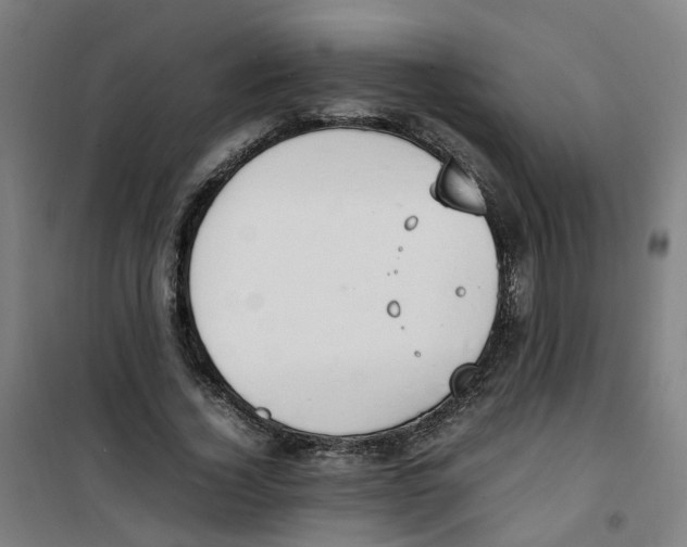 X0000100340732200807031258