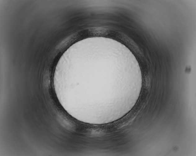 X0000100340733200807031258