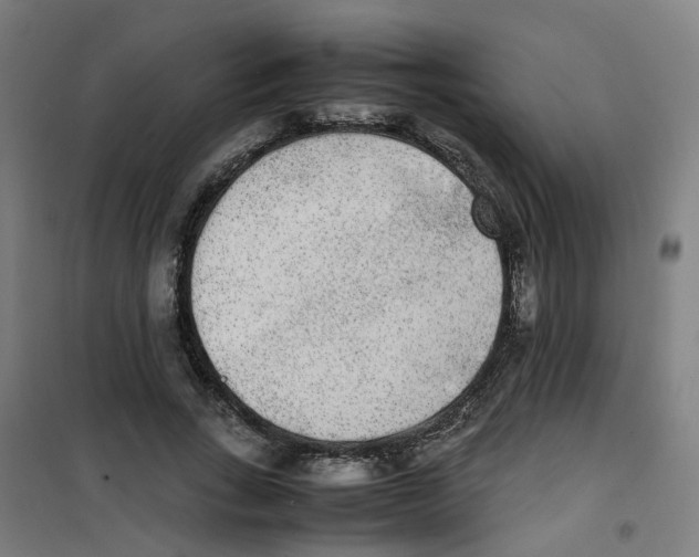 X0000100340735200807031258