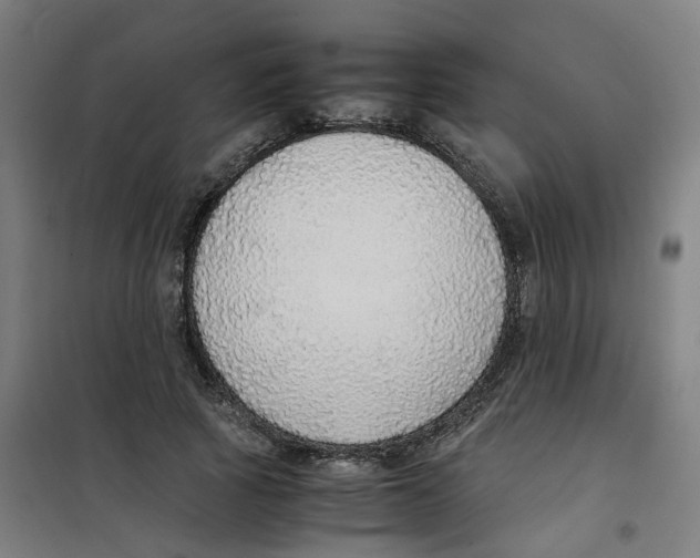 X0000100340737200807031258