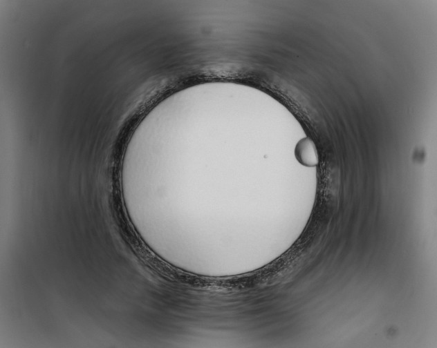 X0000100340738200807031258