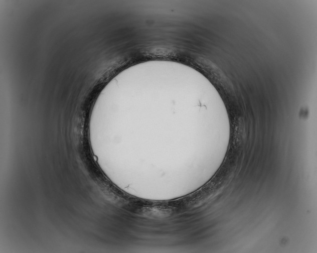 X0000100340739200807031258