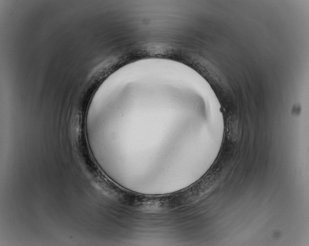 X0000100340740200807031258