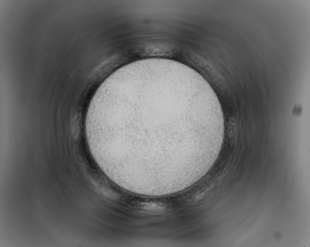 X0000100340741200807031258