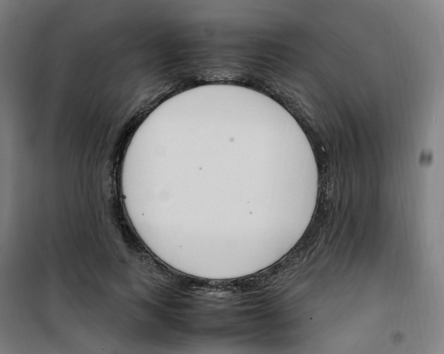 X0000100340743200807031258