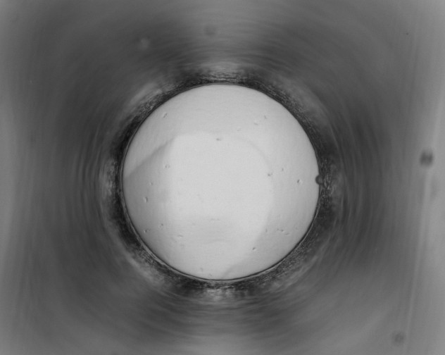 X0000100340744200807031258