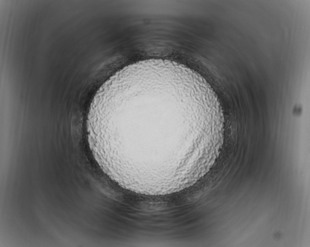 X0000100340745200807031258