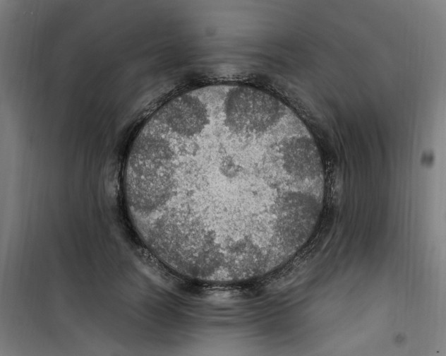 X0000100340746200807031258