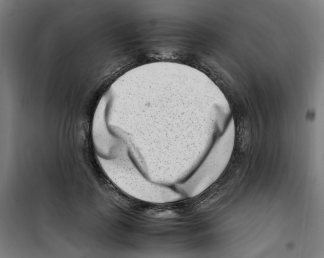 X0000100340747200807031258