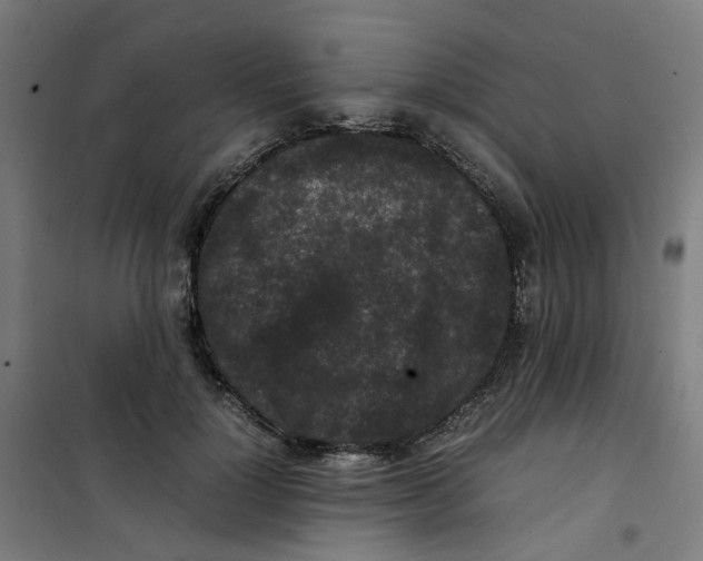 X0000100340748200807031258