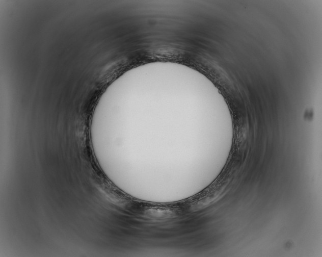 X0000100340749200807031258