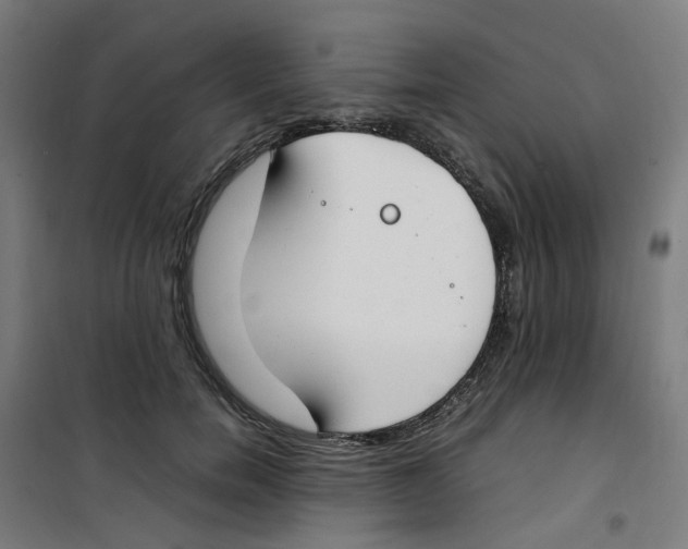 X0000100340750200807031258