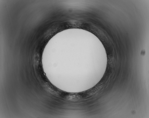 X0000100340752200807031258