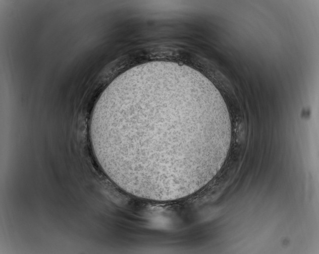 X0000100340753200807031258