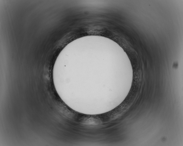 X0000100340755200807031258