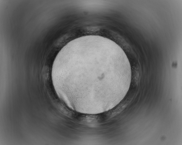 X0000100340758200807031258