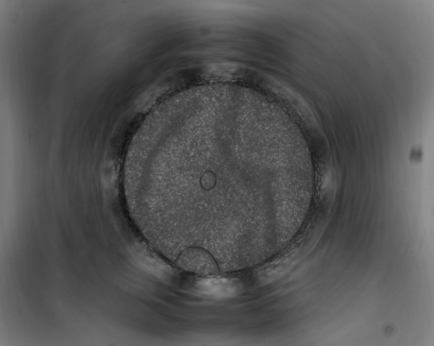 X0000100340759200807031258