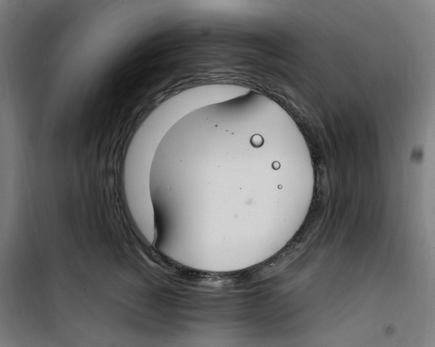 X0000100340760200807031258