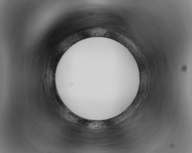 X0000100340761200807031258