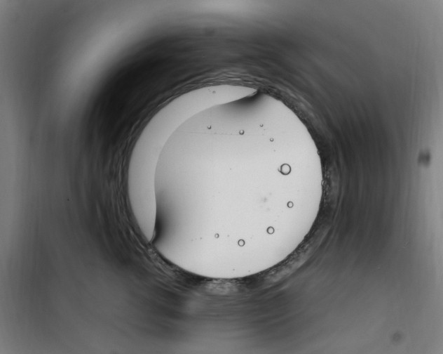 X0000100340762200807031258