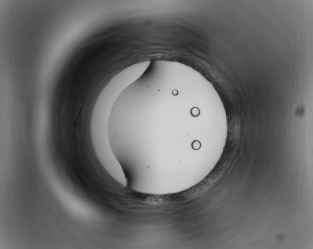 X0000100340764200807031258