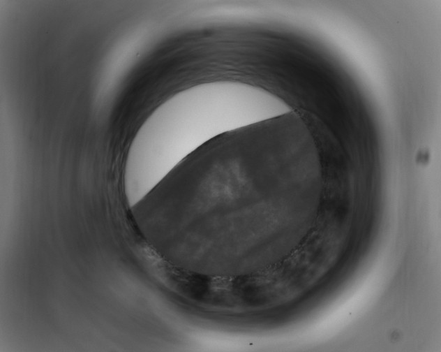 X0000100340766200807031258