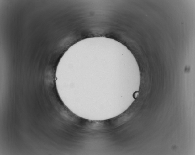 X0000100340768200807031258