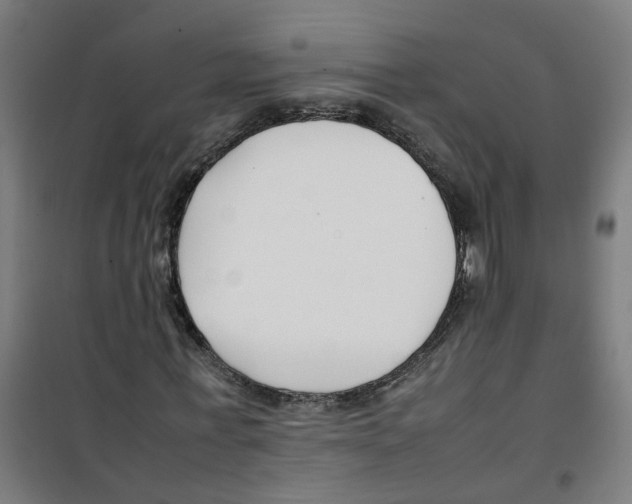 X0000100340771200807031257