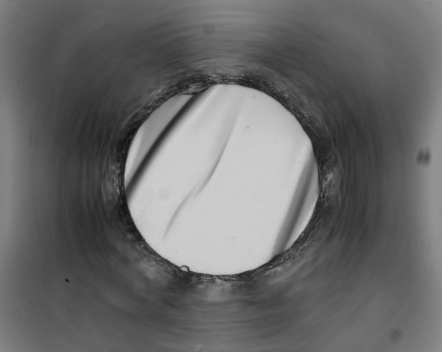 X0000100340772200807031257