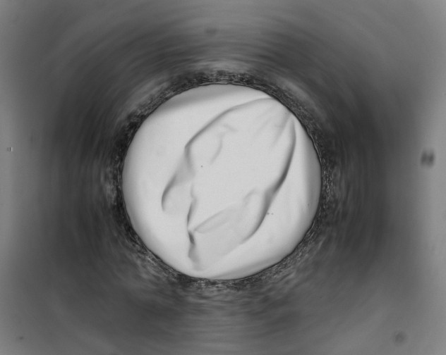 X0000100340774200807031257