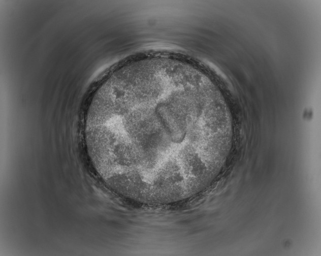 X0000100340775200807031257