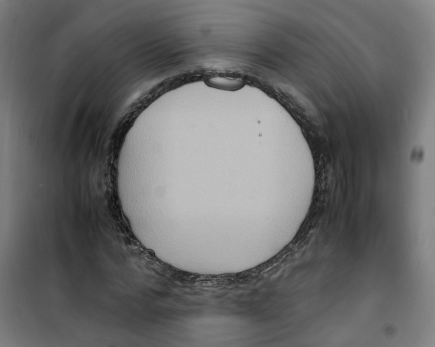 X0000100340776200807031257