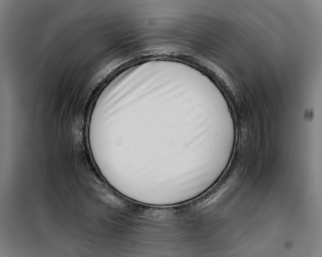 X0000100340778200807031257