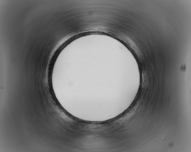 X0000100340780200807031257