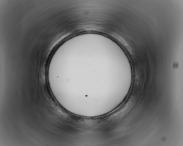 X0000100340782200807031257