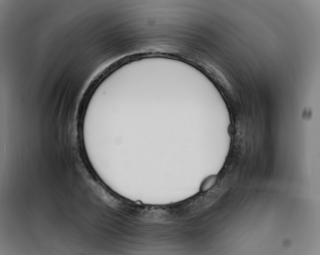 X0000100340784200807031257