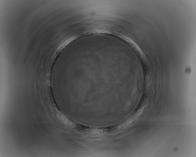 X0000100340785200807031257